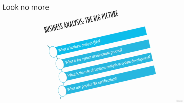 Business Analysis: The Big Picture – Screenshot 3
