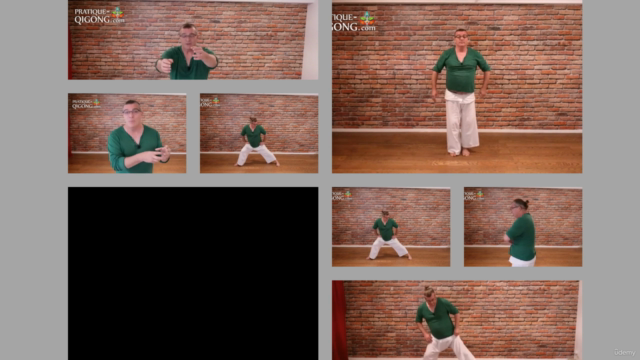 Qi Gong, Les 12 Méridiens by Jean Michel PRATESI – Screenshot 4