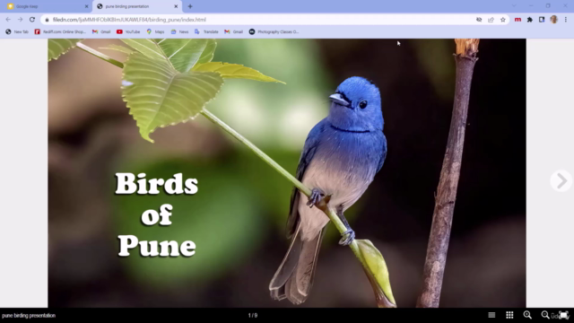 Create interactive documents with Adobe InDesign and In5 – Screenshot 1
