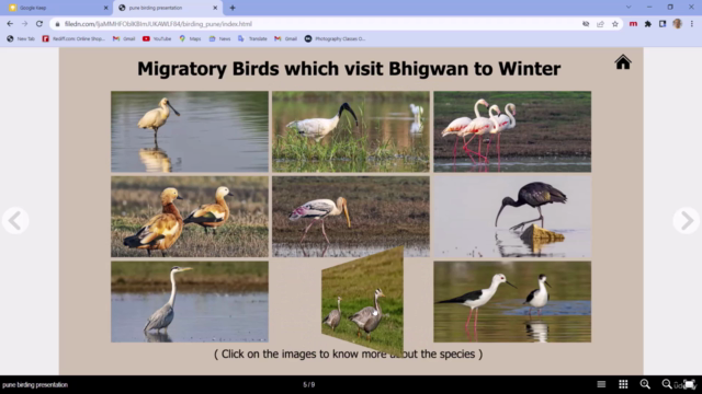 Create interactive documents with Adobe InDesign and In5 – Screenshot 3
