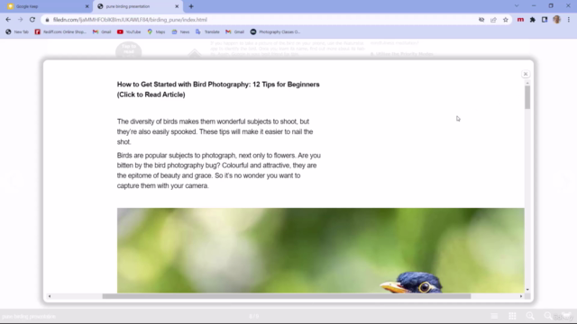 Create interactive documents with Adobe InDesign and In5 – Screenshot 4