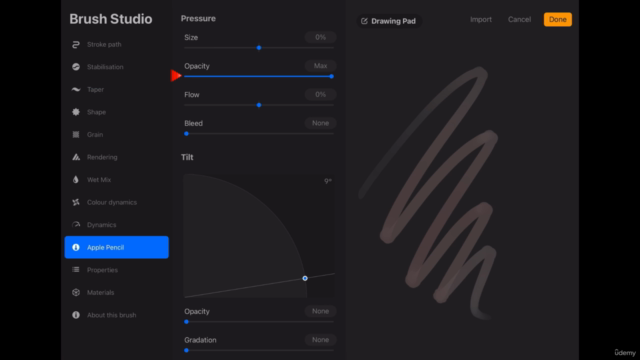 Procreate - Create Leaf, Petal & Stem Brushes + Project – Screenshot 2
