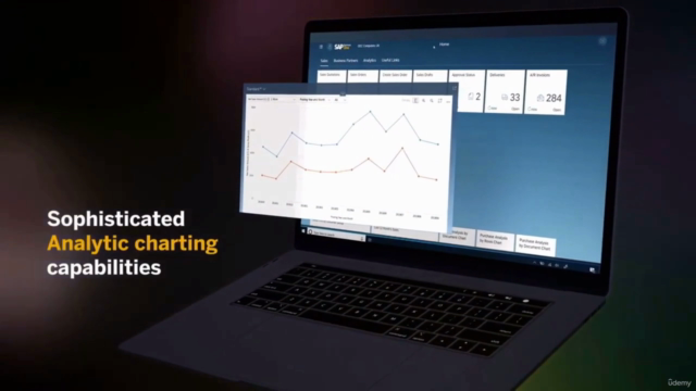 SAP Business One for beginners – Screenshot 3