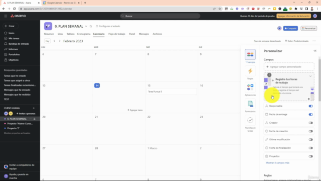 Planificación de Tareas y Gestión de Proyectos con Asana – Screenshot 3