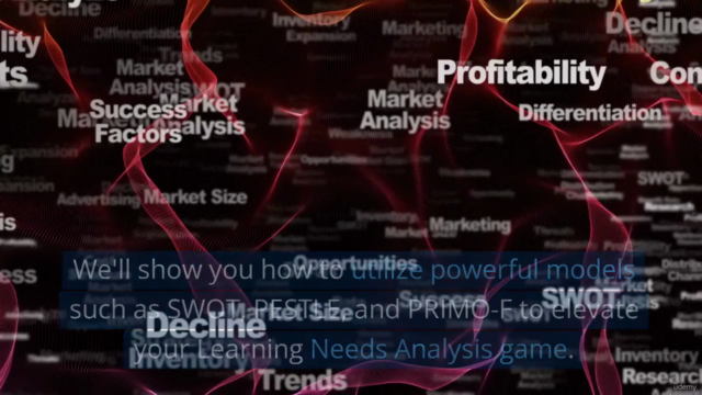 Learning Needs Analysis: Practitioner Program – Screenshot 2