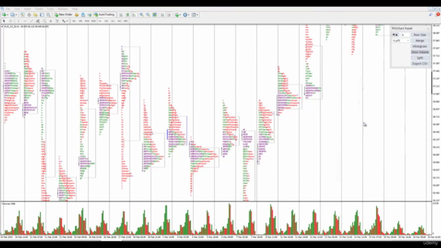 Order Flow Live Trading Lectures (Forex Futures) - Screenshot_04