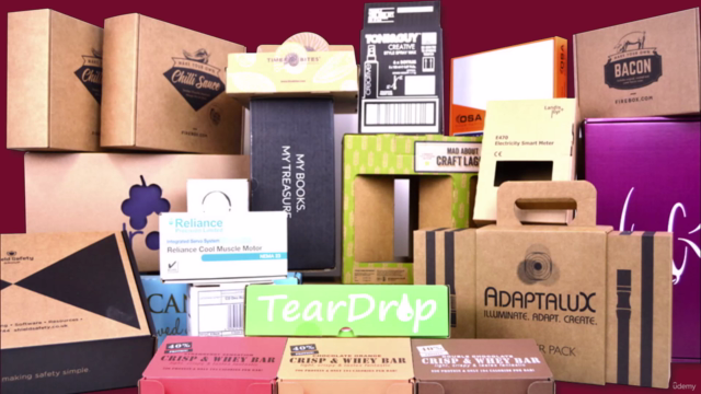 Learn Product Packaging Design in Illustrator & CorelDRAW – Screenshot 1