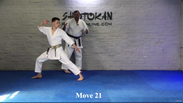 Shotokan Karate Kata Tutorials White To Brown Belt - Screenshot_02