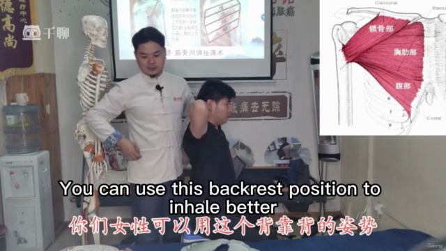 Master Traditional Chinese Medicine: From Pain Relief to Ove – Screenshot 2