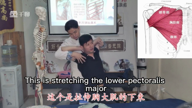 Master Traditional Chinese Medicine: From Pain Relief to Ove – Screenshot 3