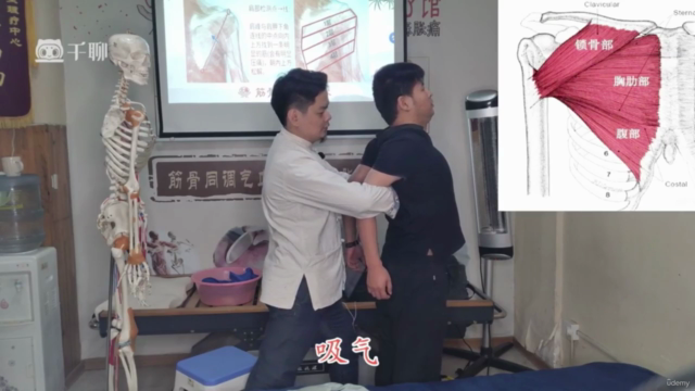 Master Traditional Chinese Medicine: From Pain Relief to Ove – Screenshot 4