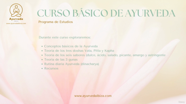 Ayurveda Curso Básico | Equilibrio Interior y Felicidad – Screenshot 3