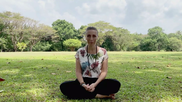 Holistic Health and Wellness Program – Screenshot 1