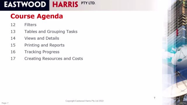 Planning and Control Using Microsoft Project 365 and 2021 – Screenshot 3