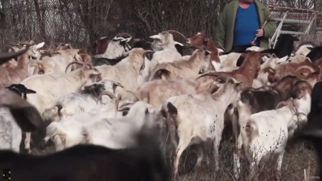 Goat Farming Master Course: हिंदी में (Learn A to Z) – Screenshot 4