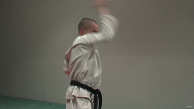 Kyokushin Karate Syllabus Prüfungsprogramm Vol.1 - Screenshot_02