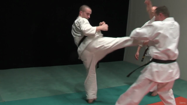 Kyokushin Karate Syllabus Prüfungsprogramm Vol.1 - Screenshot_03