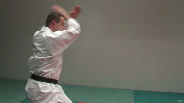 Kyokushin Karate Syllabus Prüfungsprogramm Vol.1 - Screenshot_04