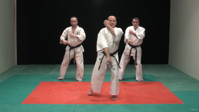 Kyokushin Karate Syllabus programme d'examen Vol.1 – Screenshot 1