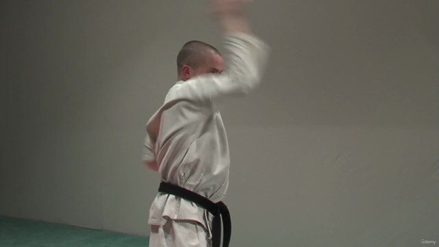 Kyokushin Karate Syllabus Programa de Examen Vol.1 - Screenshot_02