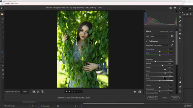 Kurs Camera Raw i Adobe Bridge – szybki start - Screenshot_04