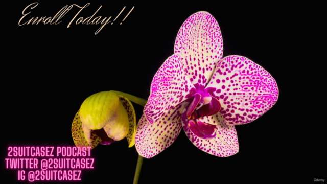 Heart Centered Business Course – Screenshot 4