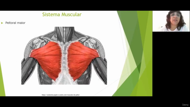Anatomia e Fisiologia Esquelética em Terapia Complementar - Screenshot_04