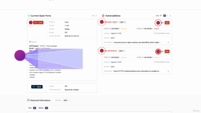 A Beginner's Guide to Managing Criminal IP – Screenshot 3