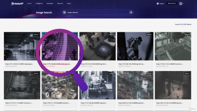A Beginner's Guide to Managing Criminal IP – Screenshot 4