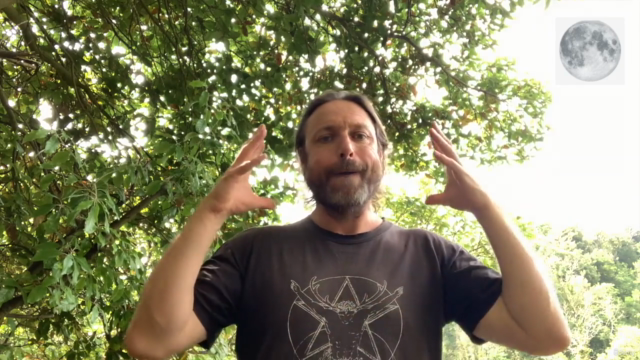 Moon Magic & Lunar Wisdom To Manifest, Illuminate & Rebirth – Screenshot 2