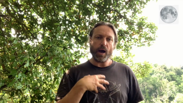 Moon Magic & Lunar Wisdom To Manifest, Illuminate & Rebirth – Screenshot 3