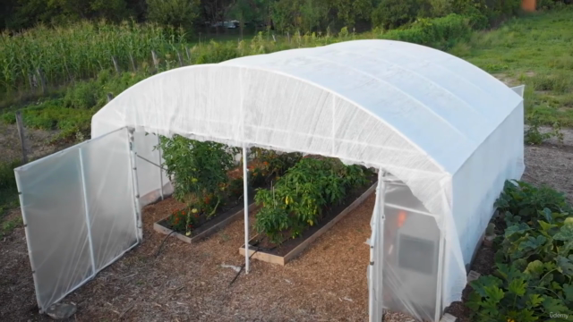 The 3-Hour Garden #1 Establishing The Garden – Screenshot 1