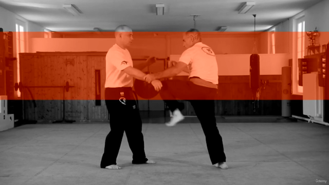 Krav Maga - Official program FEKM Orange Belt – Screenshot 2