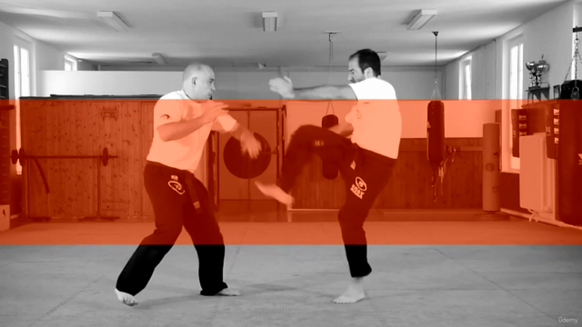 Krav Maga - Official program FEKM Orange Belt – Screenshot 3