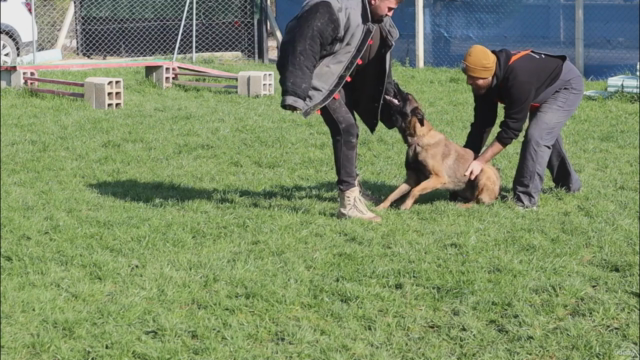 Koruma Amaçlı Doğru Köpeğin Seçimi ve Test Süreçleri – Screenshot 4