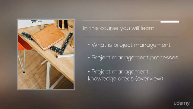 Introduction to Project Management for (Risk) Managers – Screenshot 1