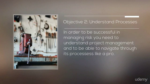 Introduction to Project Management for (Risk) Managers – Screenshot 3