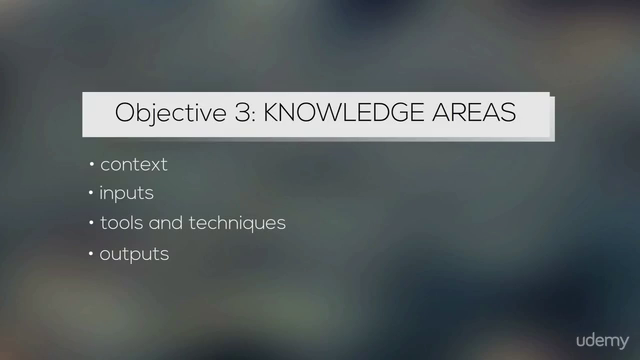 Introduction to Project Management for (Risk) Managers – Screenshot 4