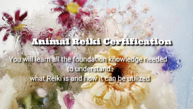 ANIMAL REIKI: Complete Animal Reiki Healing Certification! – Screenshot 2