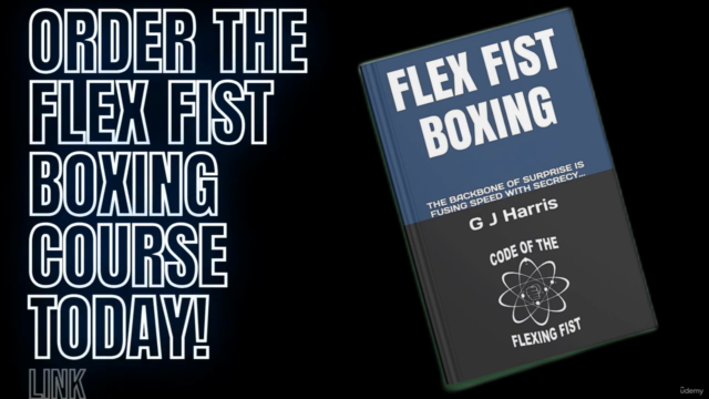 FLEX FIST BOXING - Screenshot_04