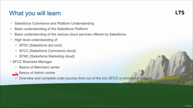 Mastering Salesforce Commerce Cloud - Complete SFCC Bootcamp – Screenshot 4