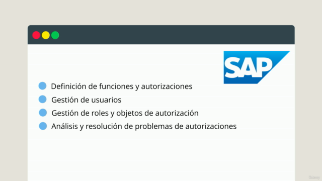 Seguridad SAP : Domina la Gestión de Roles y Autorizaciones – Screenshot 4
