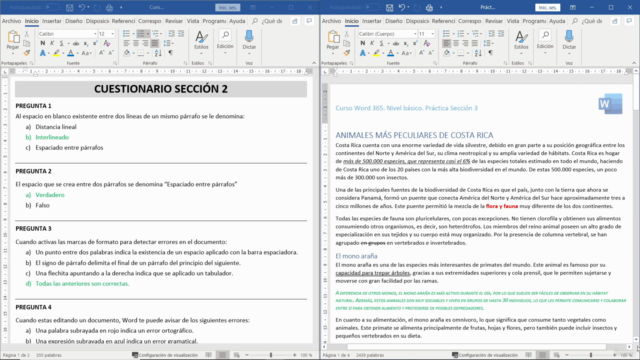 Microsoft Word 365. Nivel Básico – Screenshot 4