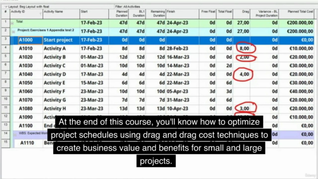 Primavera P6: Optimizing planning with drag and drag cost. - Screenshot_02