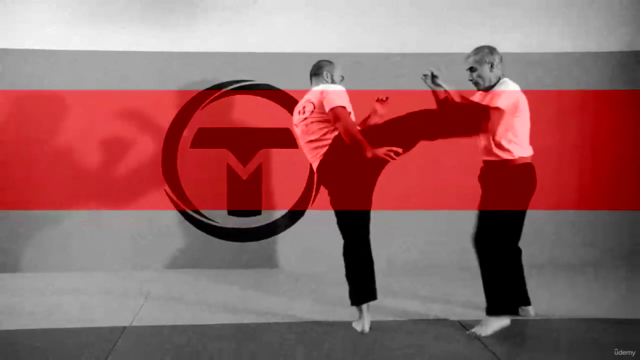 Krav Maga - Prüfungsprogramm FEKM Schwarzgurt 2. Darga – Screenshot 1