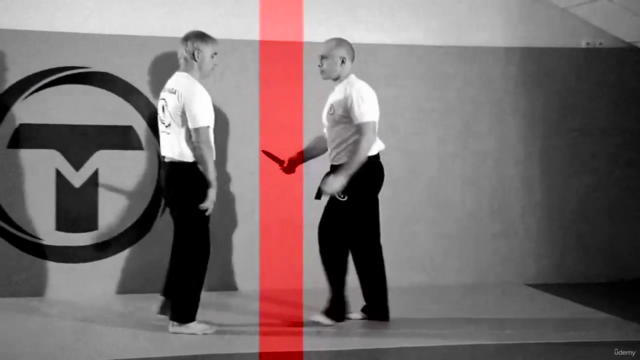 Krav Maga - Prüfungsprogramm FEKM Schwarzgurt 2. Darga – Screenshot 3