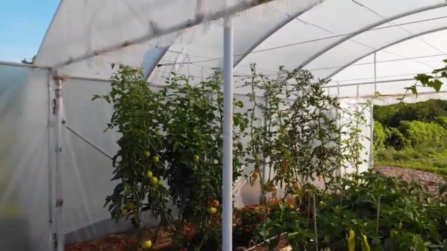 The 3-Hour Garden #2 Gardening in Practice – Screenshot 2