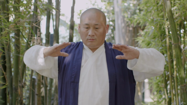 Shaolin Qigong by Grand Master Shi Yanxu - Screenshot_04