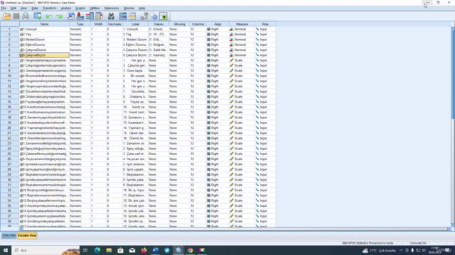 UYGULAMALI TEMEL SPSS EĞİTİMİ 2023 – Screenshot 1