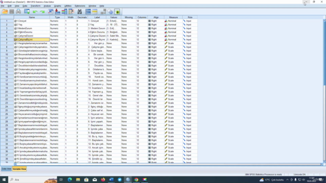 UYGULAMALI TEMEL SPSS EĞİTİMİ 2023 – Screenshot 2